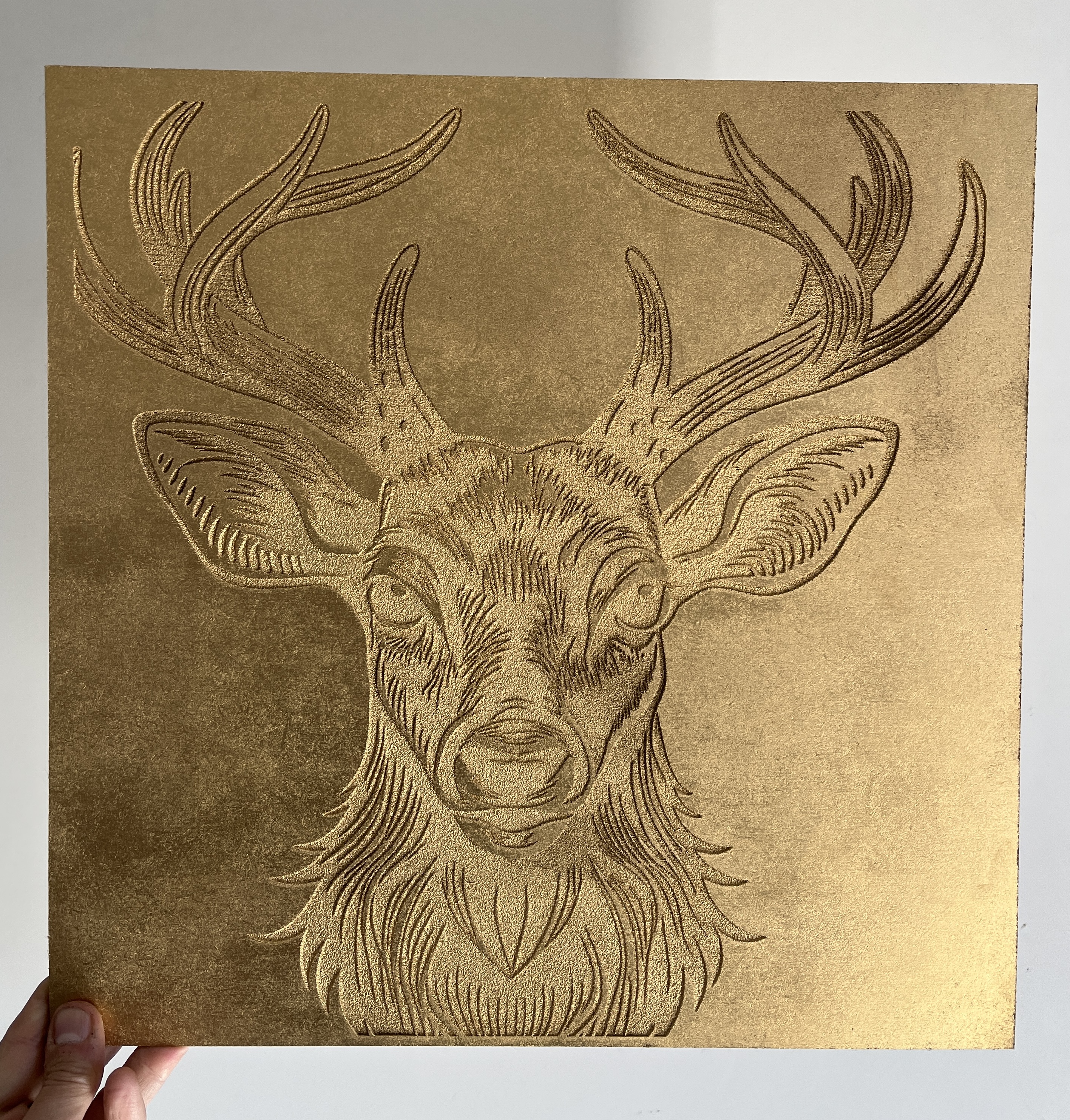 Deer - Wood Engraving